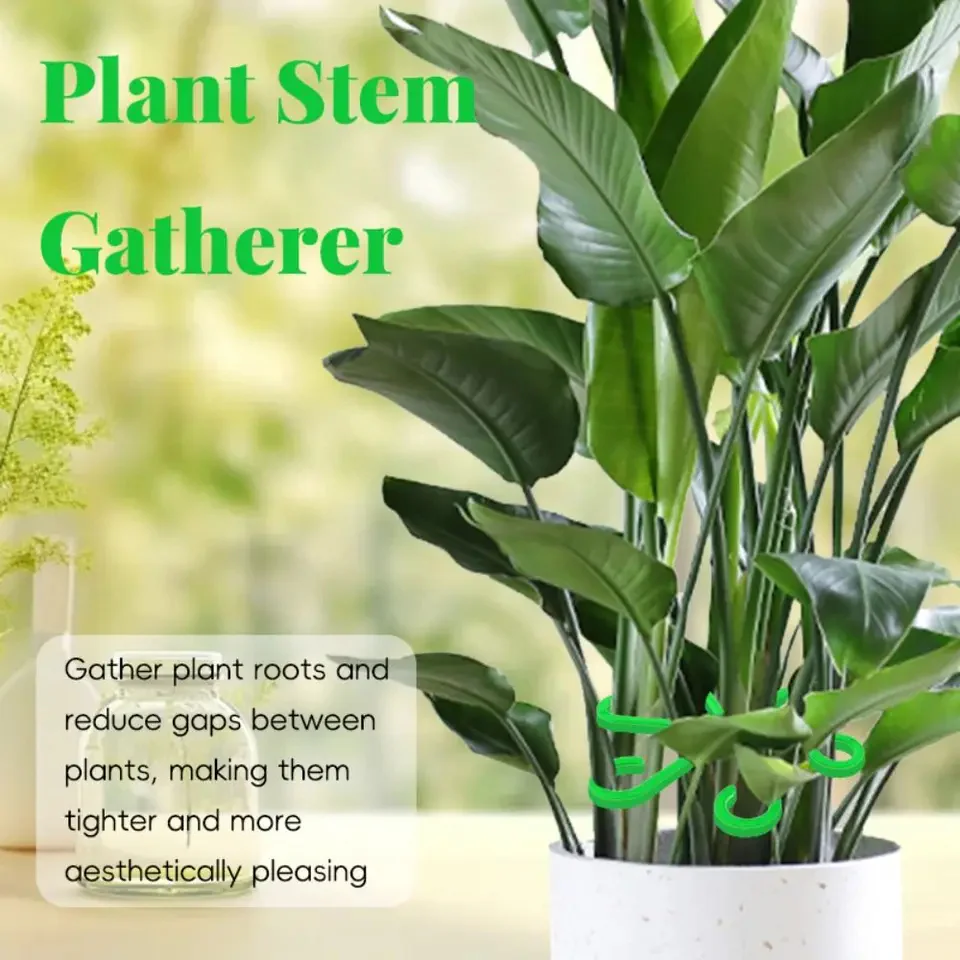 Climbing Houseplant Stem Supports - Image 3