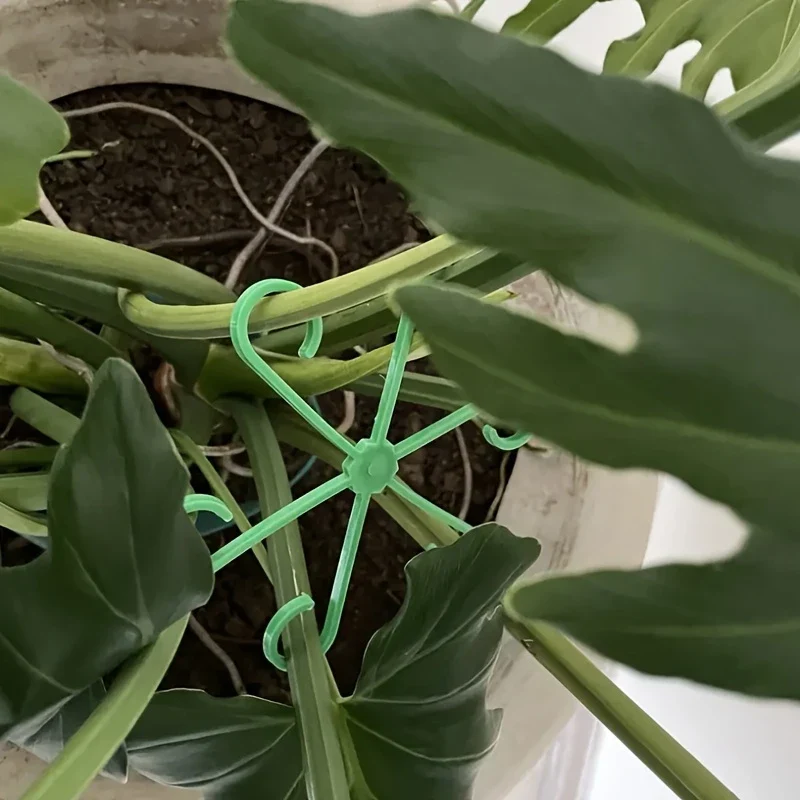 Climbing Houseplant Stem Supports - Image 5