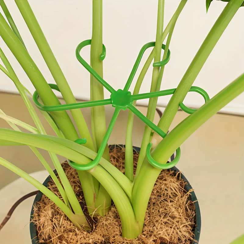 Climbing Houseplant Stem Supports - Image 6