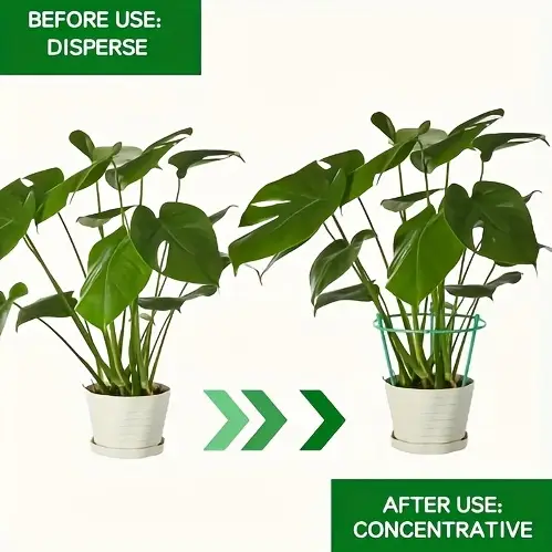 Garden Plant Support Poles - Image 3