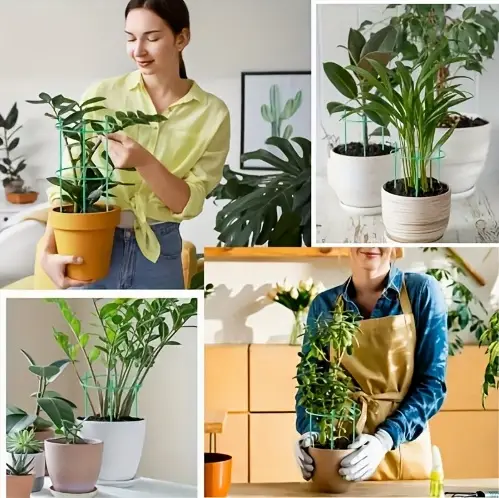 Garden Plant Support Poles - Image 5