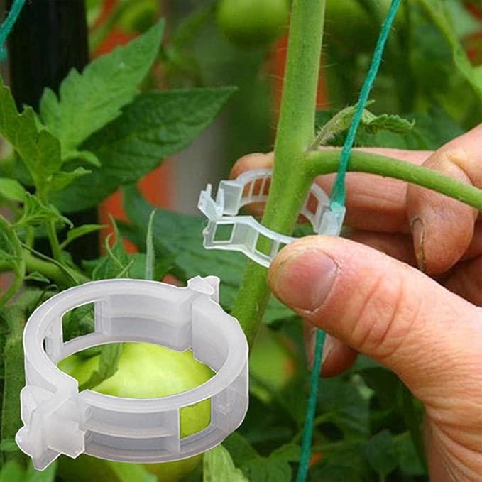 Plant Support Clips - Image 2