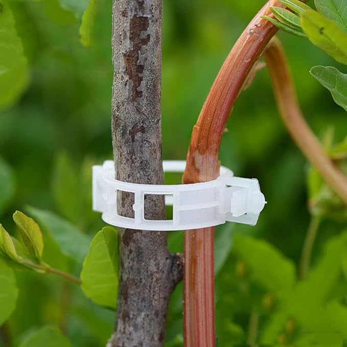 Plant Support Clips - Image 3