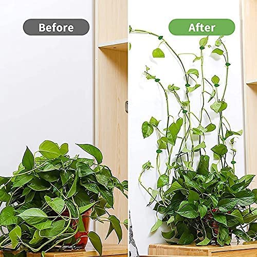 Leaf-Shaped Plant Climbing Wall Fixture Clips - Image 5