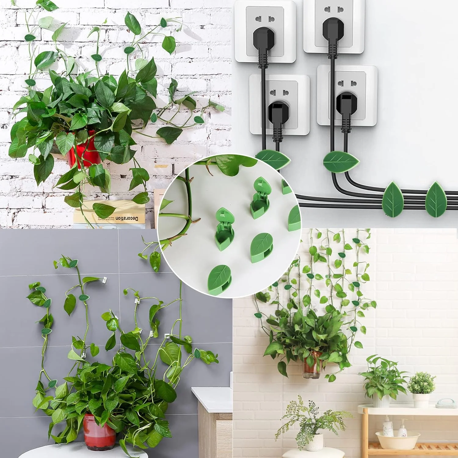 Leaf-Shaped Plant Climbing Wall Fixture Clips - Image 6