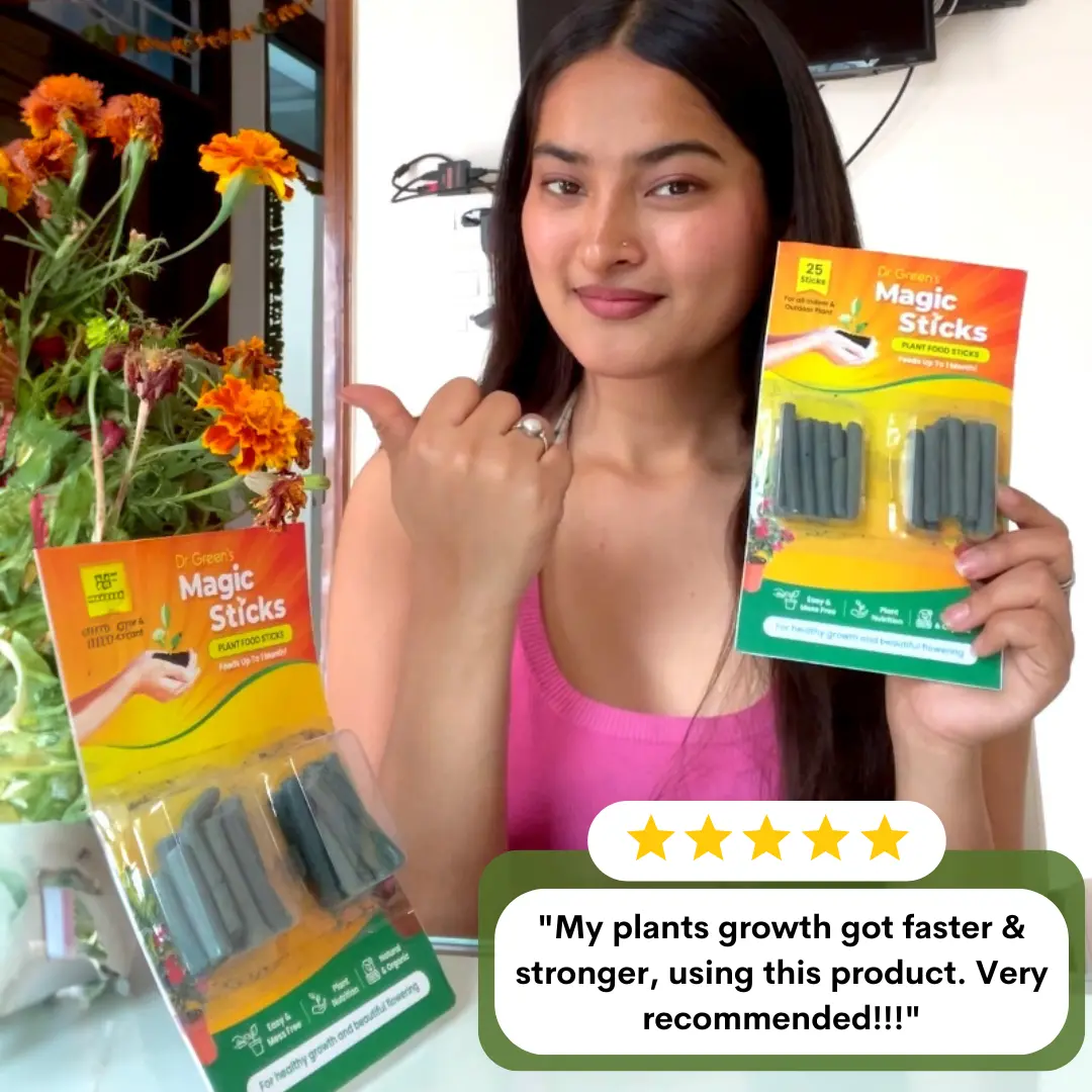 Magic Plant Grow Fertilizer Sticks - Image 2